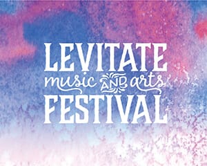 FestivalsProfilePic-LevitateFest2018-300x240