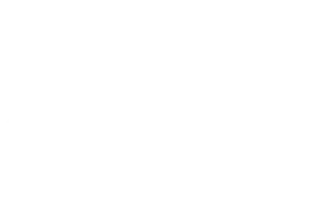 Goal Zero