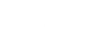 CF Martin & Co.