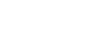 The Ally Coalition