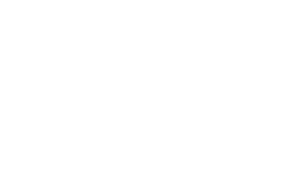 The Ally Coalition