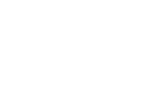 The Ally Coalition