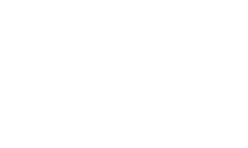 The Ally Coalition