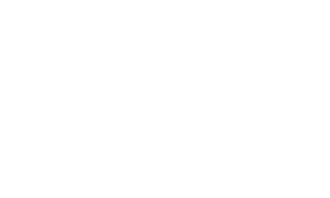 Taylor Guitars