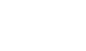 Taylor Guitars