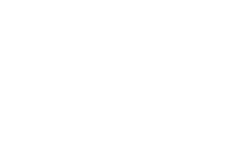 Taylor Guitars