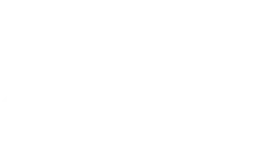 D'Angelico Guitars