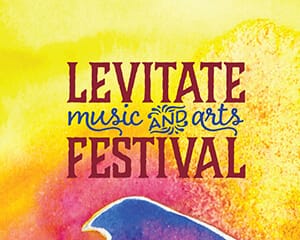 FestivalsProfilePic-LevitateFest2017-300x240