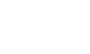 One Tree Planted
