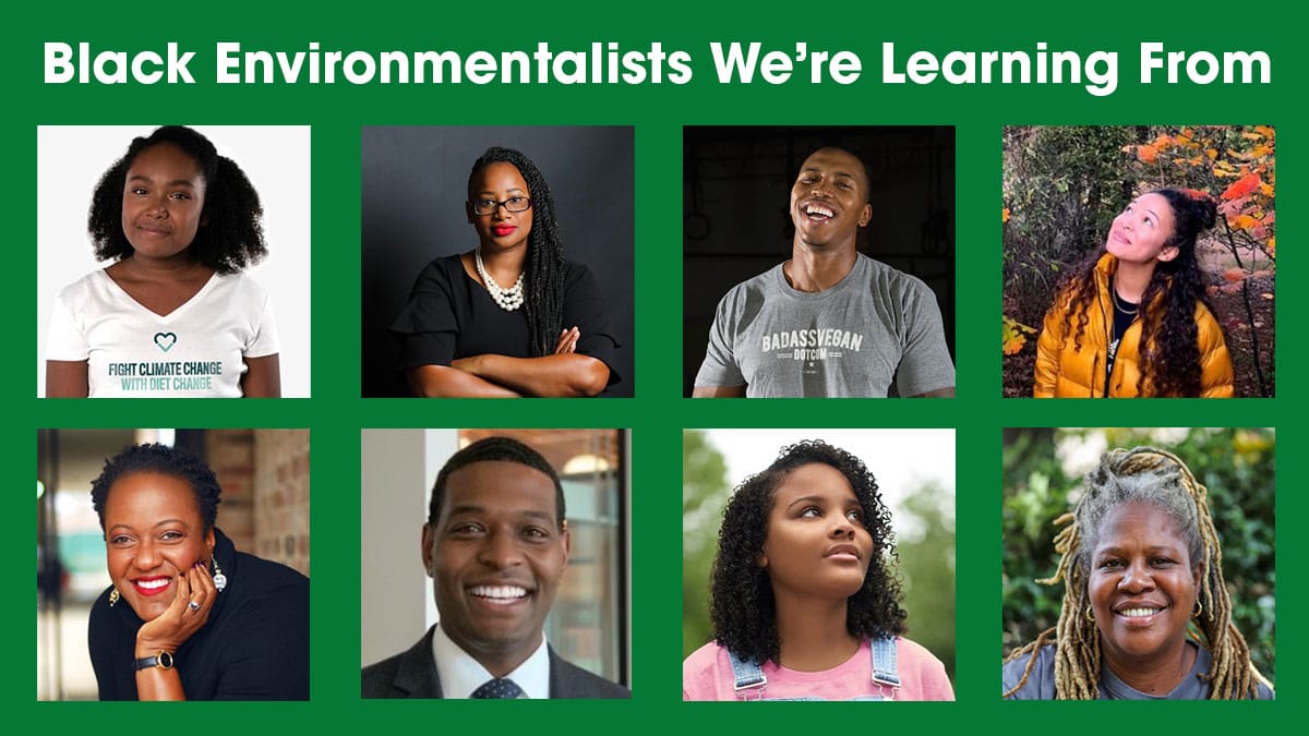 Black Environmentalists We're Learning From • REVERB