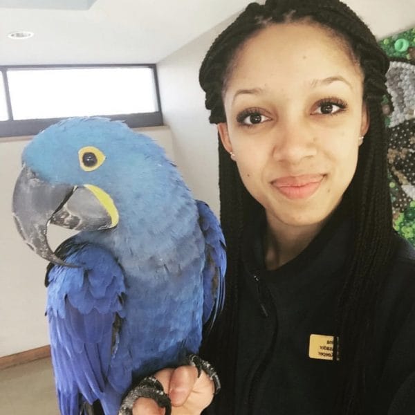 Portrait_of_ornithologist_and_science_communicator_Corina_Newsome_with_Tony,_a_Hyacinth_Macaw