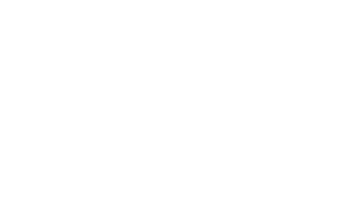 D'Addario Foundation