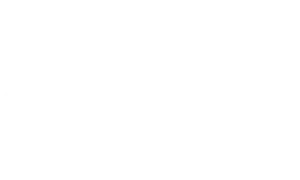 Hickman Holler Foundation